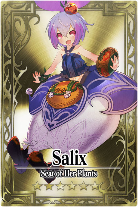 Salix card.jpg