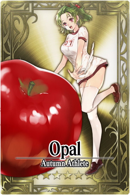 Opal card.jpg