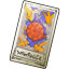Fate Card icon.png