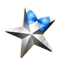 Winter Star icon.png