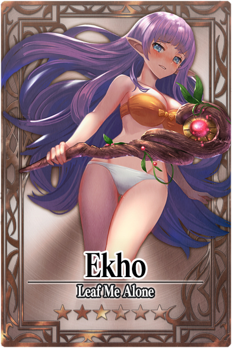 Ekho 6 m card.jpg