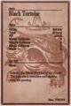 Black Tortoise m card back.jpg