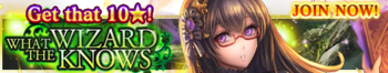 What the Wizard Knows release banner.png