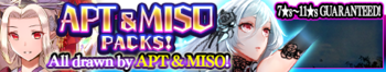 Apt & miso packs 2 banner.png