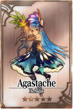 Agastache m card.jpg