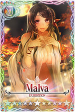 Malva card.jpg