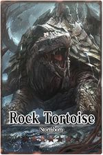 Rock Tortoise m card.jpg