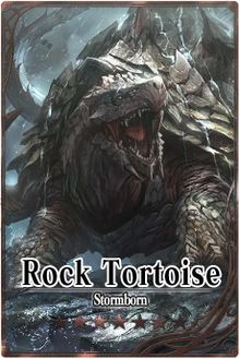 Rock Tortoise m card.jpg