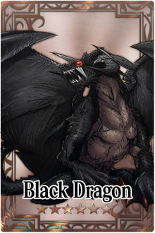 Black Dragon card.jpg