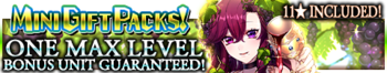 Mini Gift Packs banner.png