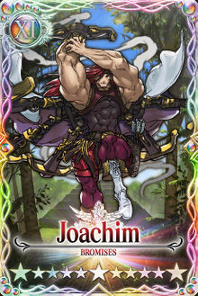 Joachim 11 card.jpg