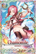 Chamomile card.jpg