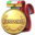 Gold Medal icon.png