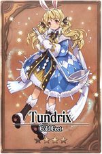Tundrix m card.jpg