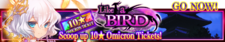 Like a Bird release banner.png