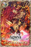 Agneya card.jpg