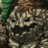 Wood Golem m icon.png