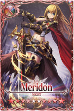 Meridon card.jpg