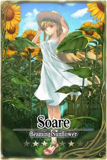 Soare card.jpg