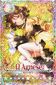 Agnese mlb card.jpg