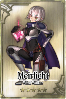 Meirlicht card.jpg