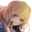 Alexia icon.png