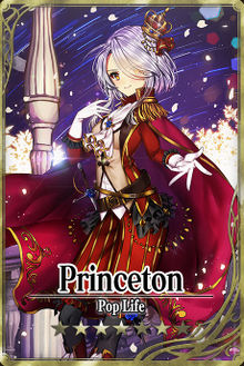 Princeton card.jpg