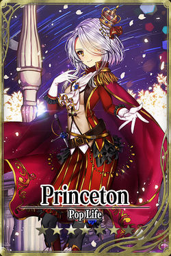 Princeton card.jpg