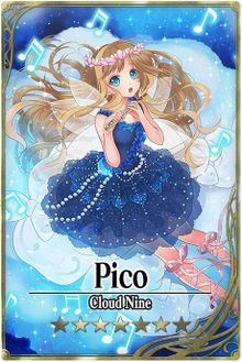 Pico card.jpg