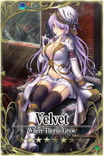 Velvet card.jpg