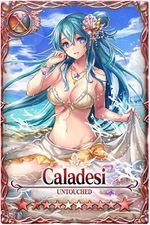 Caladesi card.jpg