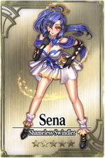 Sena card.jpg