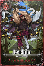 Joachim 9 m card.jpg