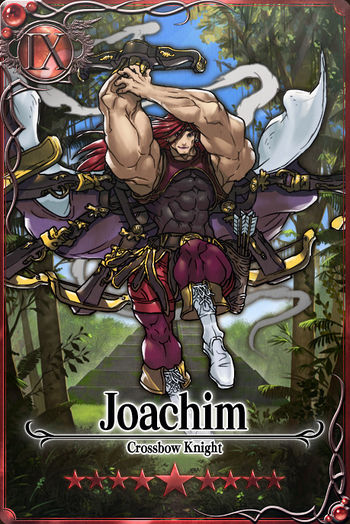 Joachim 9 m card.jpg