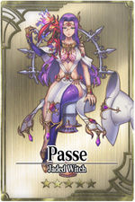 Passe card.jpg