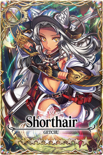 Shorthair card.jpg