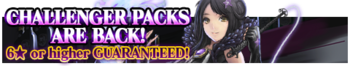 Challenger Packs 10 banner.png