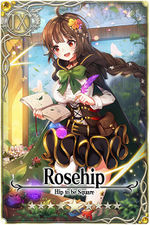Rosehip card.jpg