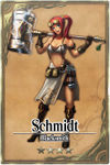 Schmidt card.jpg