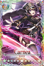 Carnea card.jpg