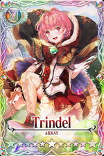 Trindel card.jpg