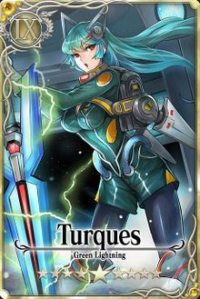 Turques card.jpg