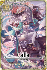 Calla card.jpg