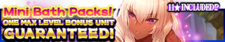 Mini Bath Packs banner.png