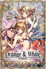 Orange & White card.jpg