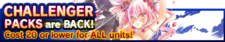 Challenger Packs 29 banner.png