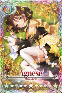 Agnese card.jpg