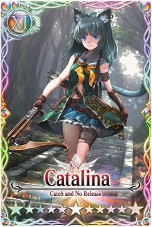 Catalina 11 card.jpg