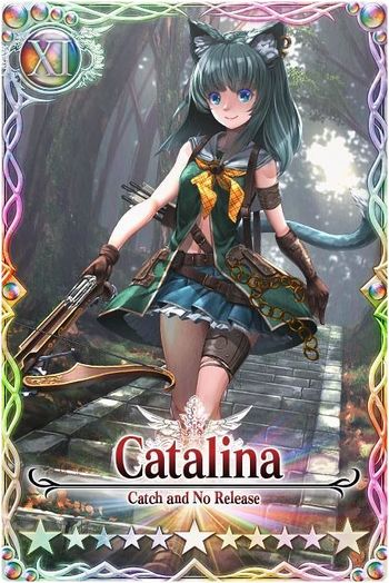 Catalina 11 card.jpg