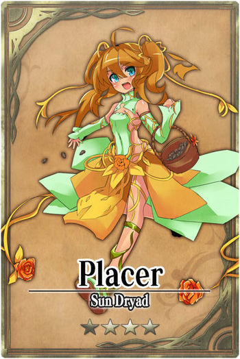 Placer card.jpg